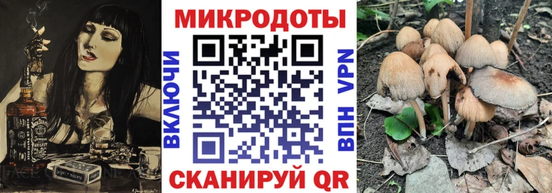 Купить где  Кирово-Чепецк  Галлюциногенные грибы Psilocybe 